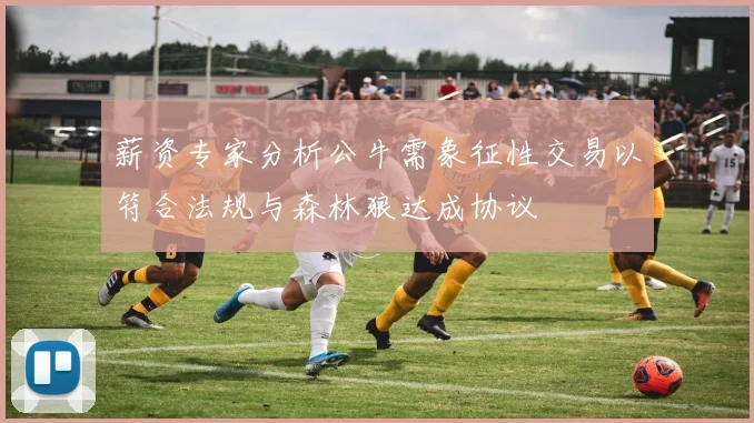 薪资专家分析公牛需象征性交易以符合法规与森林狼达成协议